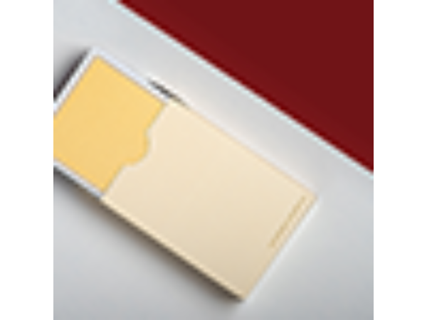 Magic Notebook Deck - Limited Edition (Champagne) by The Bocopo Playing Card Company