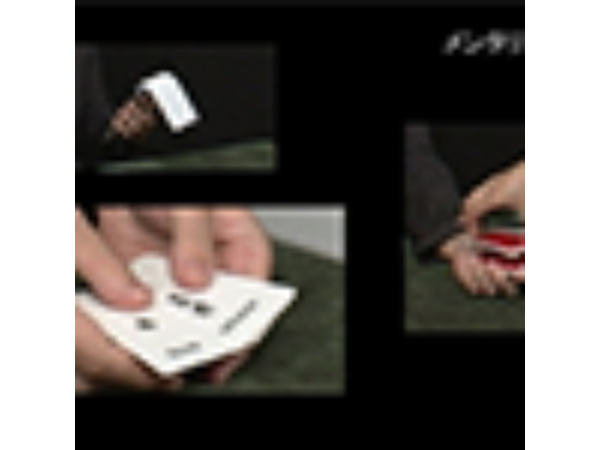 Mentalist's Vocabulary Flash Cards by Tenyo Magic - Trick