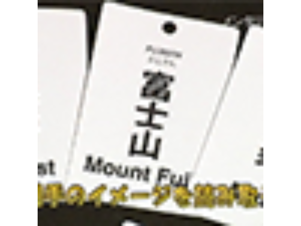 Mentalist's Vocabulary Flash Cards by Tenyo Magic - Trick