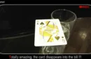 BLUFF by Mickael Chatelain - Trick – Image 10