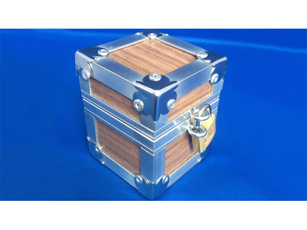 Flight Case (Gimmck and Online Instructions)by Leo Smetsers