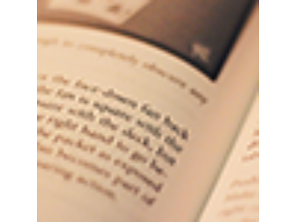 Secrets of a Puerto Rican Gambler by Stephen Minch and Vanishing Inc. - Book