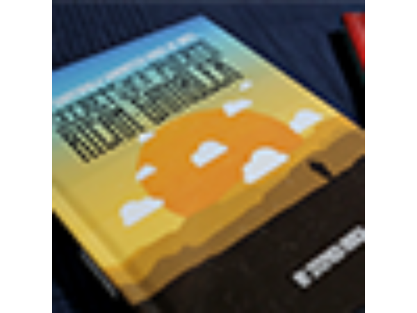 Secrets of a Puerto Rican Gambler by Stephen Minch and Vanishing Inc. - Book