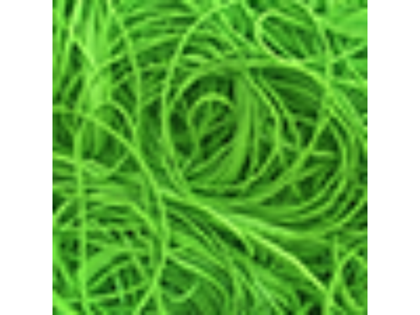 Joe Rindfleisch's Legend Bands: Harry Lorayne Lime Green Pack - Trick