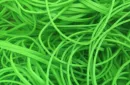 Joe Rindfleisch's Legend Bands: Harry Lorayne Lime Green Pack - Trick – Bild 6