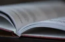 Applesauce by Patrick G. Redford - Book – Bild 10