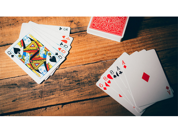 Classic Twins Playing Cards by Expert Playing Cards