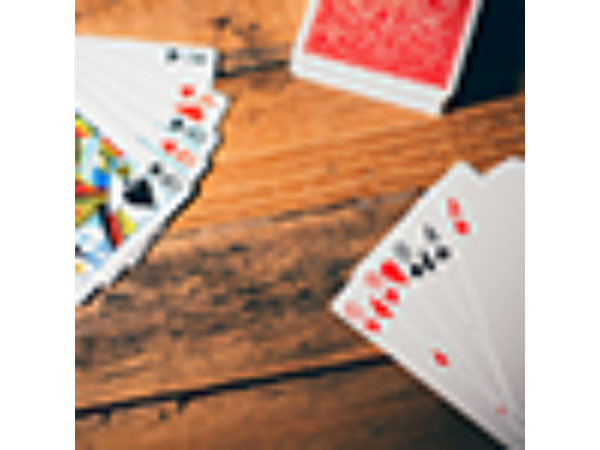 Classic Twins Playing Cards by Expert Playing Cards