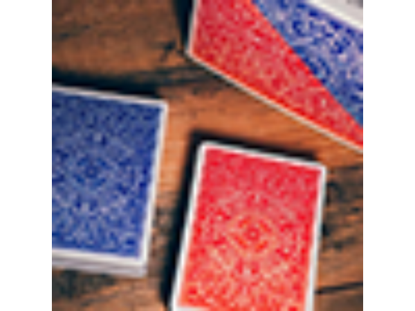 Classic Twins Playing Cards by Expert Playing Cards