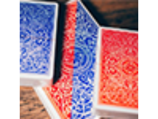 Classic Twins Playing Cards by Expert Playing Cards