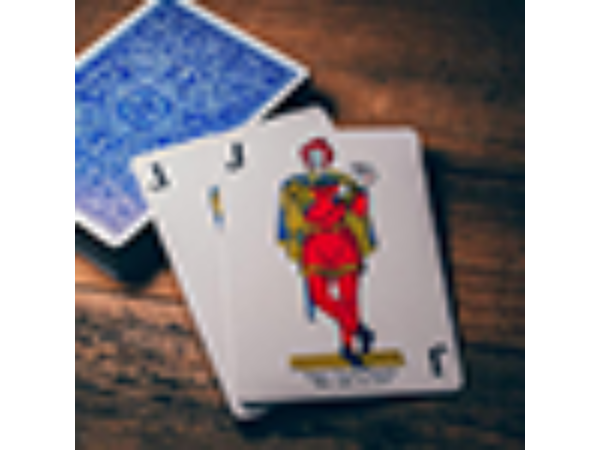 Classic Twins Playing Cards by Expert Playing Cards