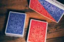 Classic Twins Playing Cards by Expert Playing Cards – Image 2