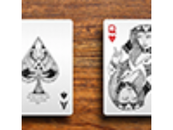 1st Edition White Deck (Playing Card) by Four Point Playing Cards