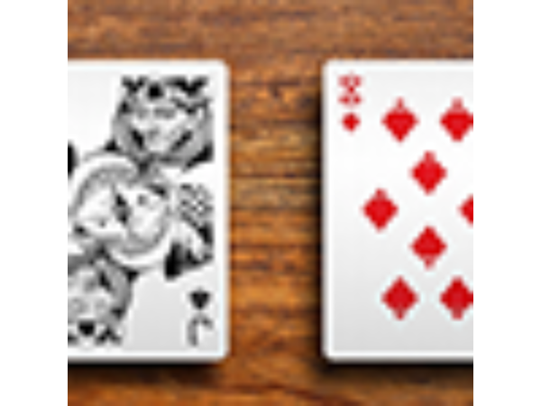 1st Edition White Deck (Playing Card) by Four Point Playing Cards