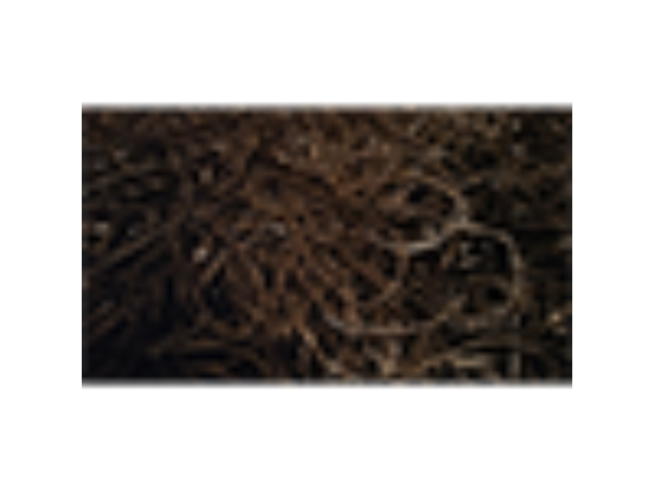 Joe Rindfleisch's Executive Rubber Bands (Dan Hauss - Black Pack) by Joe Rindfleisch - Trick