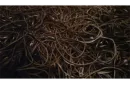 Joe Rindfleisch's Executive Rubber Bands (Dan Hauss - Black Pack) by Joe Rindfleisch - Trick – Image 2