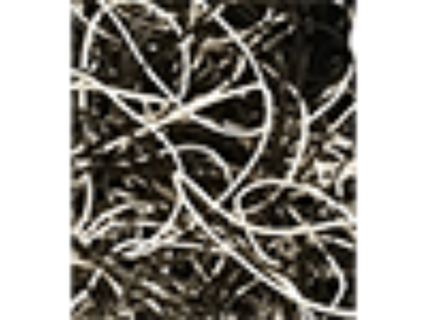 Joe Rindfleisch's Executive Rubber Bands (B&W Combo) by Joe Rindfleisch - Trick