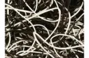 Joe Rindfleisch's Executive Rubber Bands (B&W Combo) by Joe Rindfleisch - Trick – Image 6