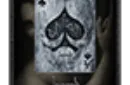 Leonardo (Silver Edition) by Legends Playing Card Company – Image 5