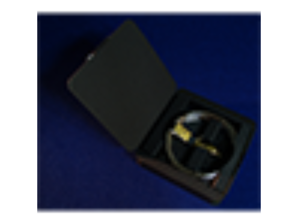 The Rings (Online Instructions and Silver Rings) by Raymond Iong - Trick