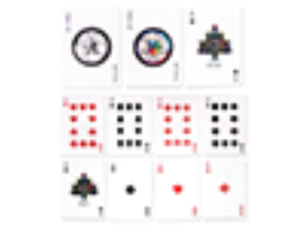 Puzzled Playing Cards by US Playing Card Co