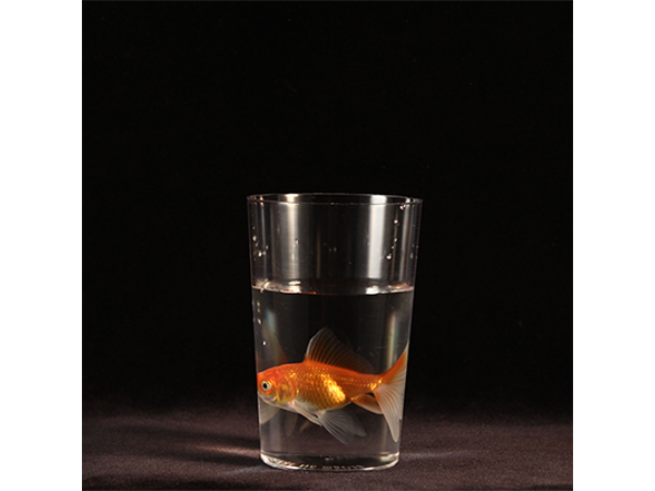 Milk To by Bazar de Magia - Trick