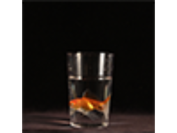 Milk To by Bazar de Magia - Trick