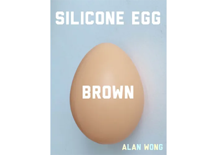 Silicon Egg (Brown) by Alan Wong - Trick