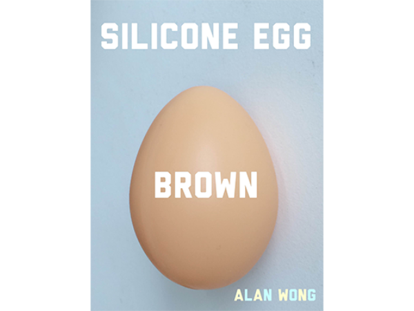Silicone Egg (Brown) by Alan Wong - Trick