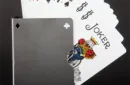 Card Guard Stainless (Perforated) by Bazar de Magic – Image 4