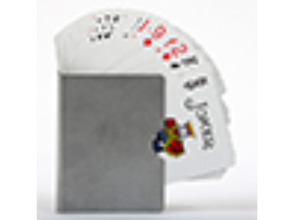 Card Guard (Classic) by Bazar de Magia - Trick