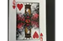 V Deck (limited Edition) by Steve Valentine – Image 11