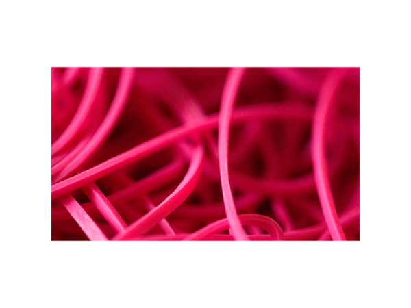 Joe Rindfleisch's Rainbow Rubber Bands (Vince Mendoza - Mr. Pink Size 19) by Joe Rindfleisch