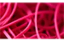 Joe Rindfleisch's Rainbow Rubber Bands (Vince Mendoza - Mr. Pink Size 19) by Joe Rindfleisch – Image 3