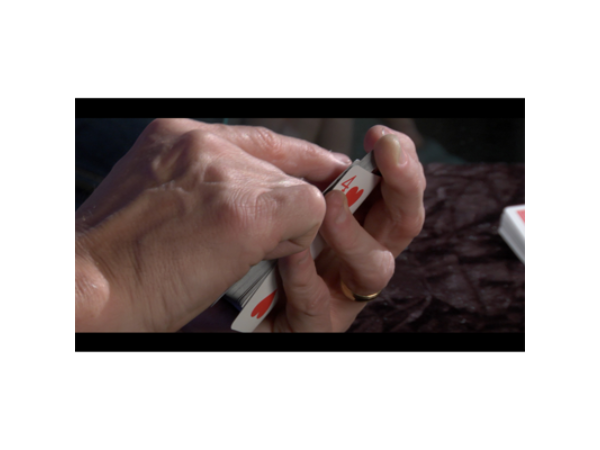 The False Deals Project (2 DVD set) with George McBride and Big Blind Media - DVD