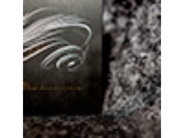 Insight (gimmicks & DVD) by Tom Elderfield /Presented by Shin Lim - DVD