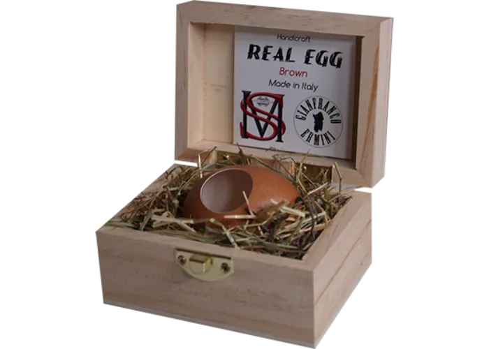 Real Egg (Brown) by Gianfranco Ermini & Stratomagic - Trick
