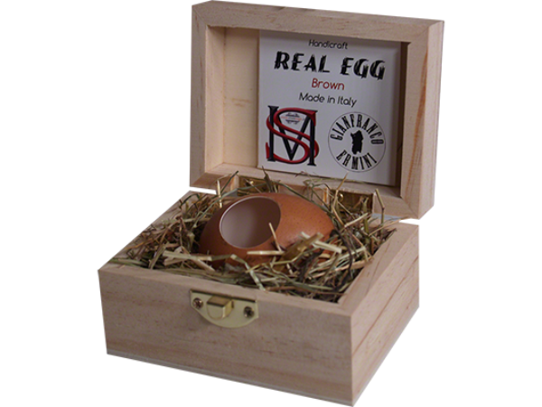 Real Egg (Brown) by Gianfranco Ermini & Stratomagic - Trick
