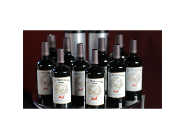 Multiplying Bottles (10 ct. High Gloss)  - Trick