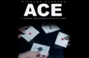 ACE (Cards and Online Instructions) by Richard Sanders – Bild 1