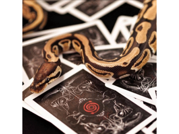 Venom Deck by US Playing Cards