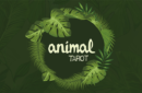 Httpswww magicshop chmediacatalogproductsisimple animaltarot 1 png
