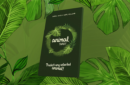 Httpswww magicshop chmediacatalogproductsisimple animaltarot 2 png