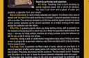 Tales From The Planet Of Bloom #2 by Gaetan Bloom - DVD – Image 2