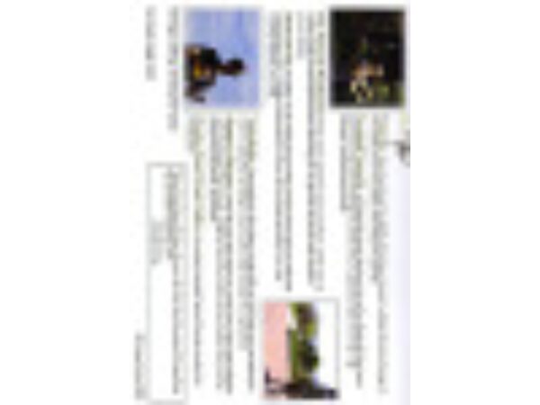 Voracity by Corey Burke - DVD