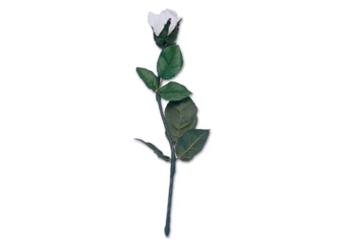 Instant Rose Creation by Visual Magic - Trick
