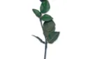 Instant Rose Creation by Visual Magic - Trick – Image 1