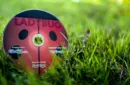 Paul Harris Presents Lady Bug by Paul Vigil, Paul Harris and Roy Kueppers - Trick – Image 1