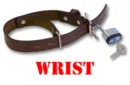 Asylum Wrist Restraint by Blaine Harris - Trick – Image 1