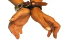 Asylum Wrist Restraint by Blaine Harris - Trick – Image 2